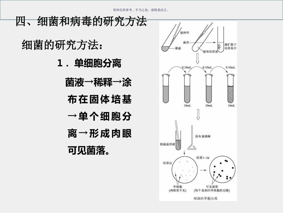 细菌和病毒的遗传_第7页