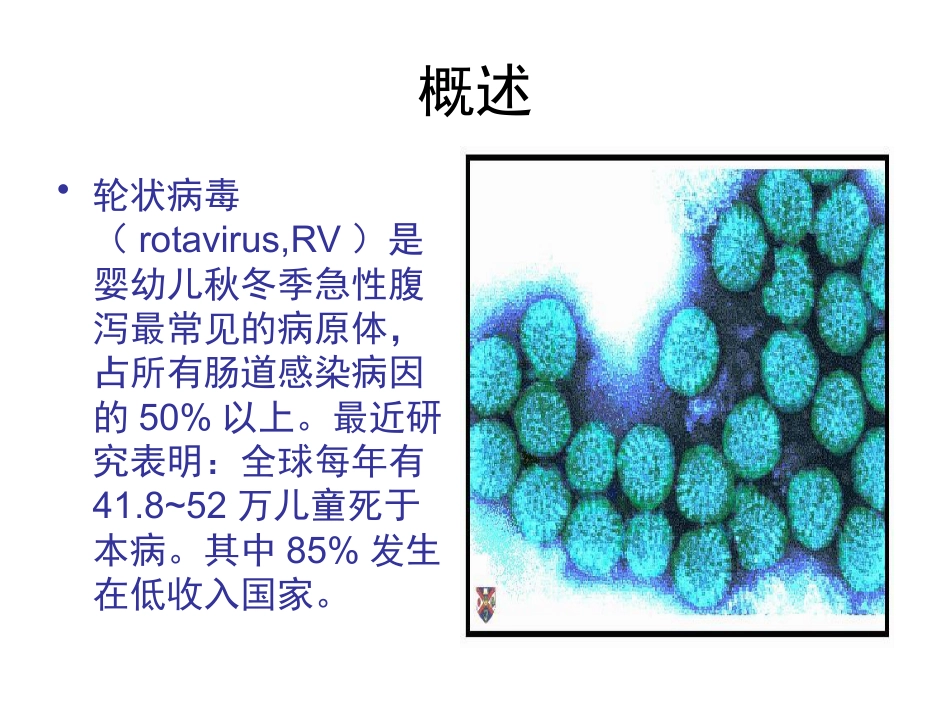 小儿轮状病毒肠炎的诊治进展_第2页