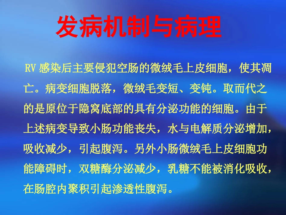 人轮状病毒感染_第15页
