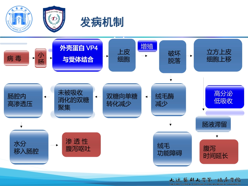 新模板人轮状病毒感染_第15页