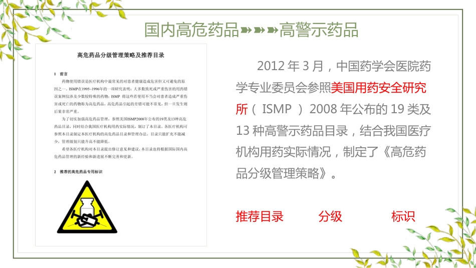 高警示药品管理_第4页