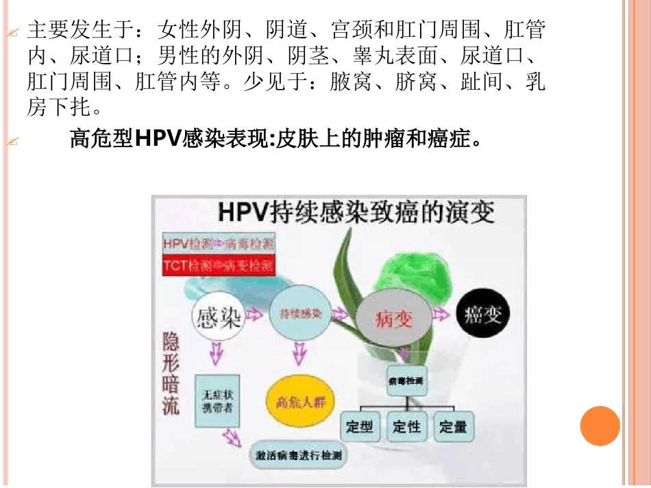 认识HPV病毒感染最新优质ppt课件_第12页