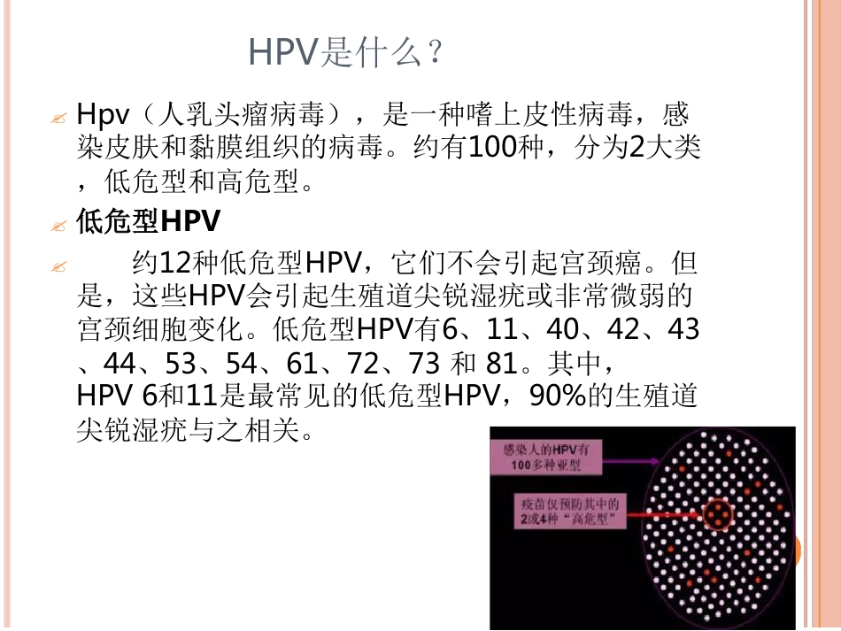 认识HPV病毒感染最新优质ppt课件_第3页