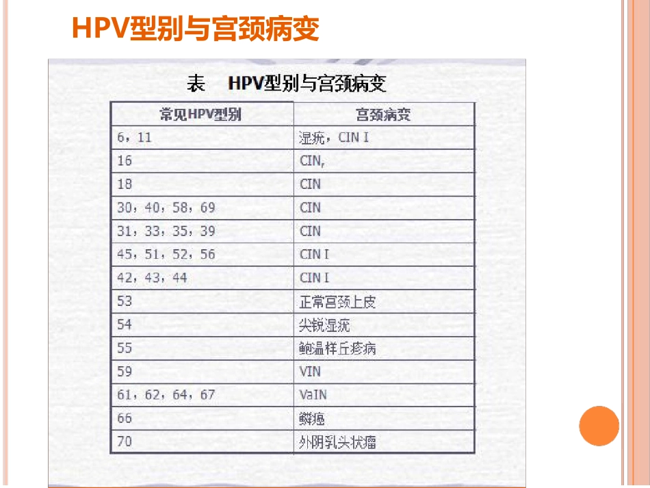 认识HPV病毒感染最新优质ppt课件_第6页