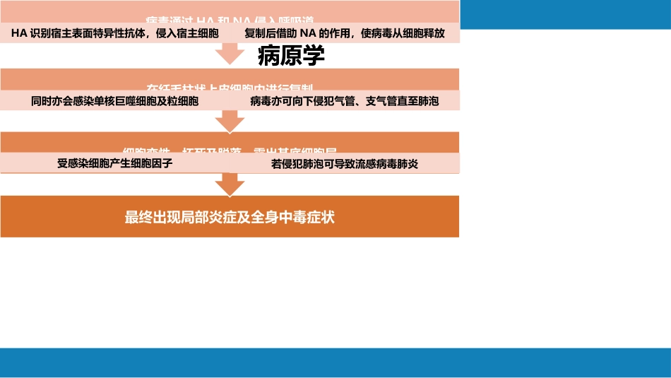 第二章 病毒性传染病 第三节 流行性感冒病毒感染_第11页