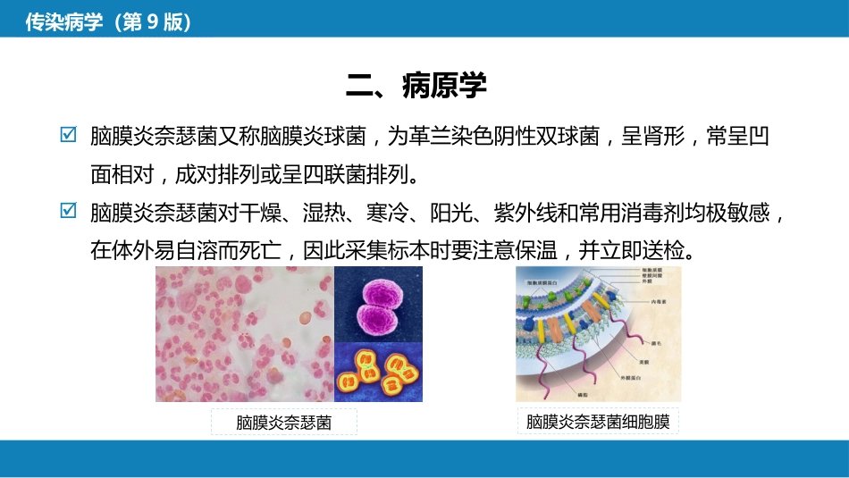 第四章 细菌性传染病 第十二节 流行性脑脊髓膜炎_第8页