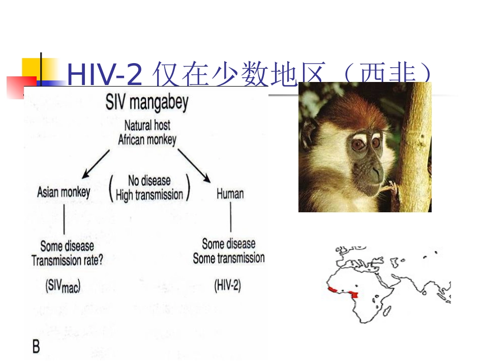 人类免疫缺陷病毒(HIV)_第6页