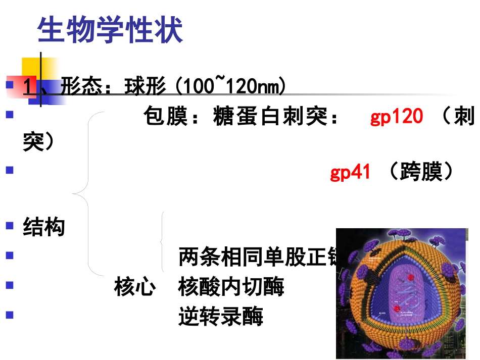 人类免疫缺陷病毒(HIV)_第7页