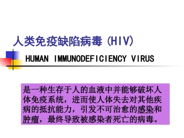 人类免疫缺陷病毒(HIV)