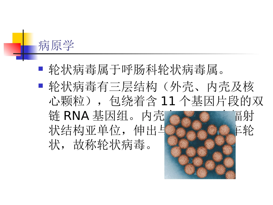 小儿轮状病毒性肠炎诊治进展_第2页