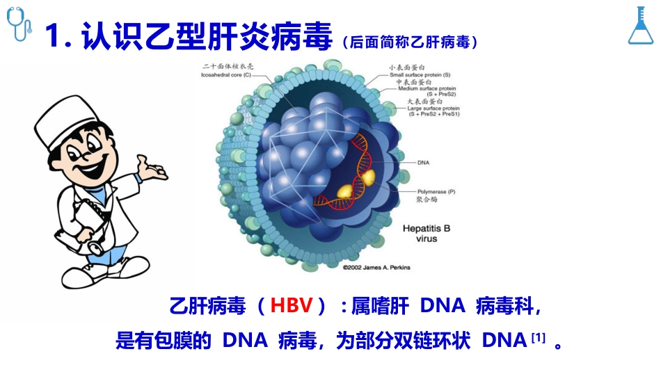 乙肝病毒母婴传播防治科普_第2页