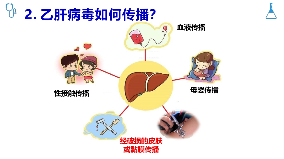 乙肝病毒母婴传播防治科普_第6页