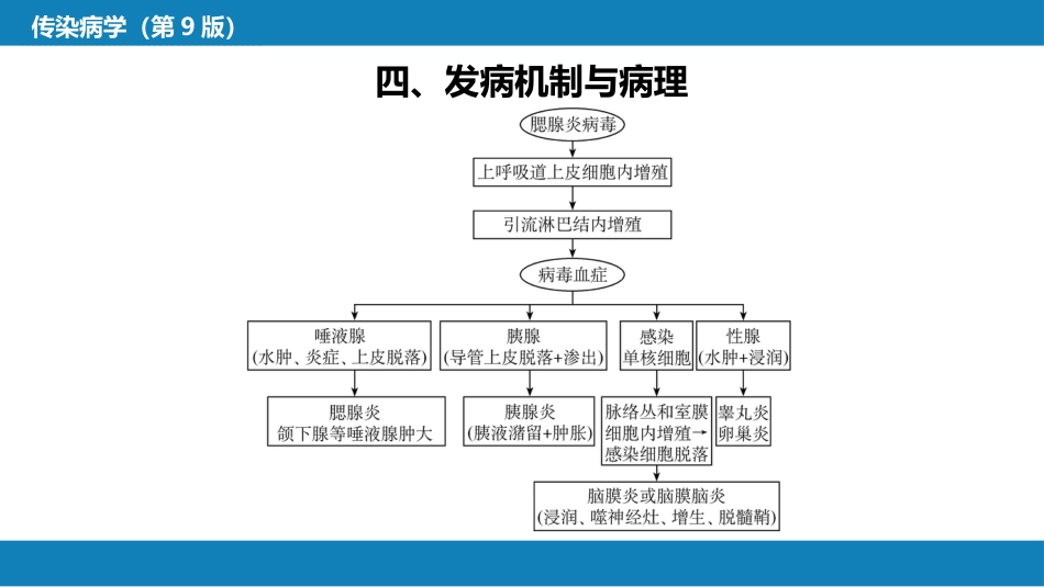 第二章 病毒性传染病 第六节 流行性腮腺炎_第12页