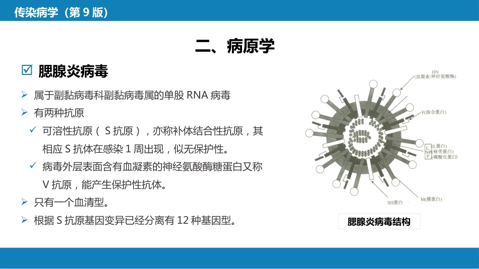 第二章 病毒性传染病 第六节 流行性腮腺炎_第8页