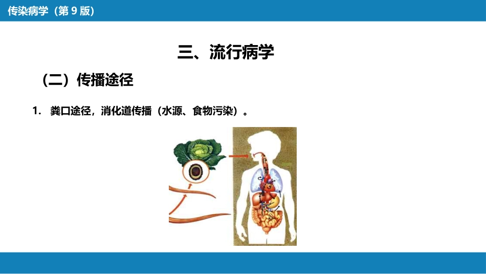 第四章 细菌性传染病 第一节 伤寒与副伤寒_第13页