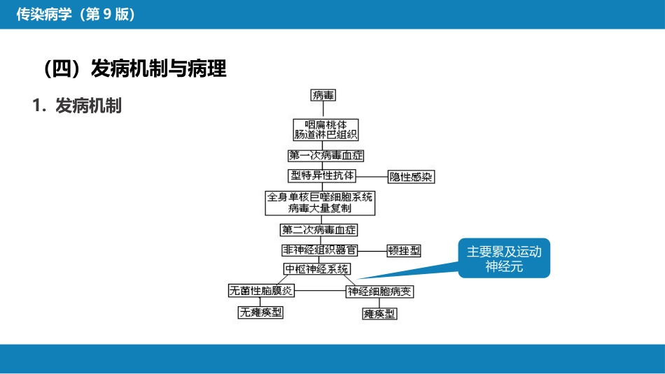 第二章 病毒性传染病 第二节 肠道病毒感染 脊髓灰质炎+柯萨奇病毒感染_第10页