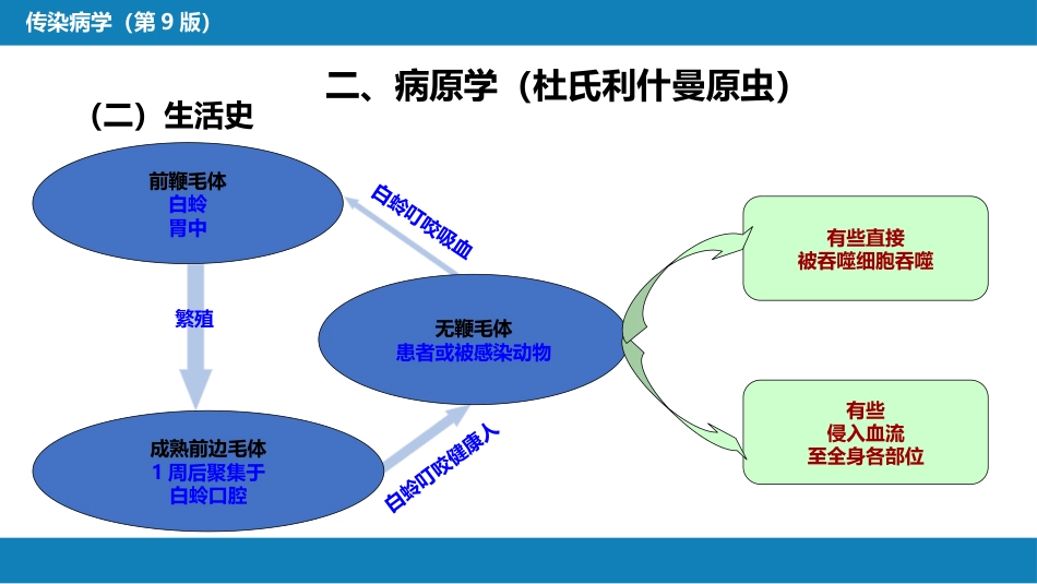 第七章 原虫病 第三节 黑热病_第10页