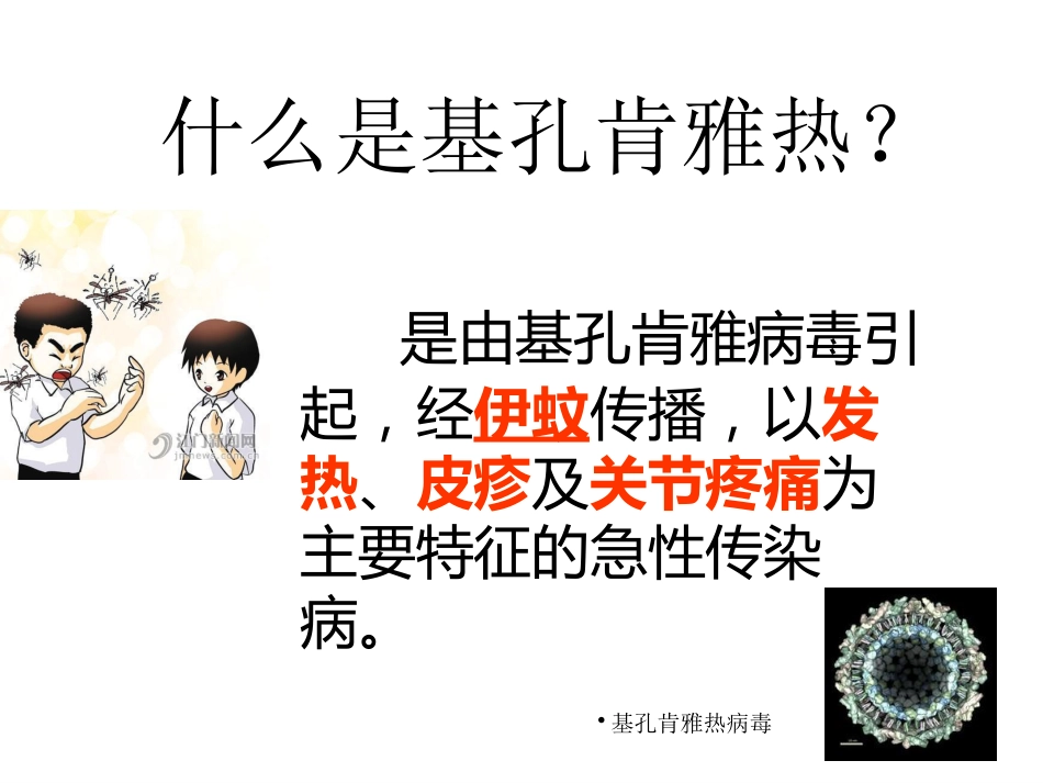 基孔肯雅热登革热ppt课件-_第2页