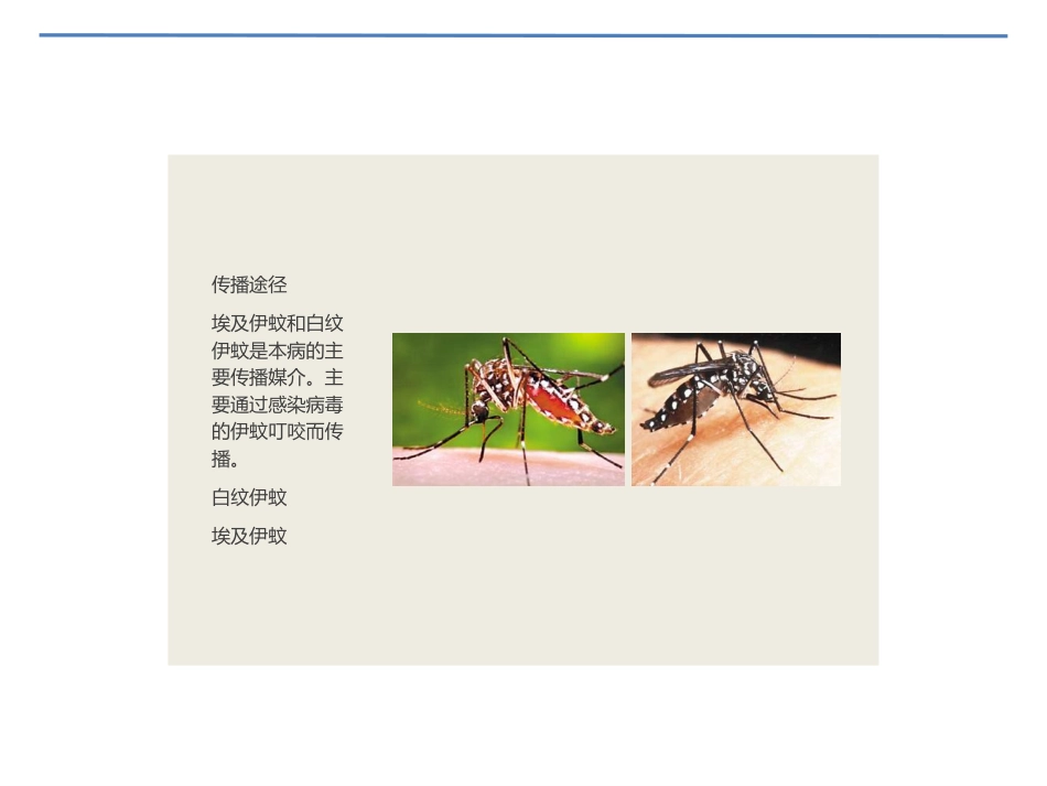 基孔肯雅热登革热ppt课件-_第4页