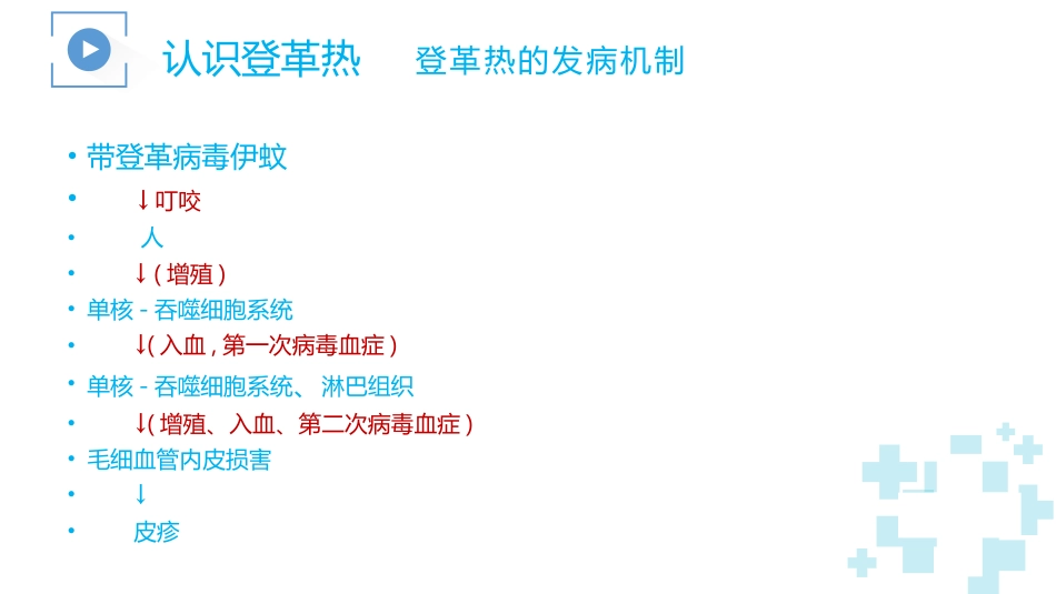 登革热及其防治_第15页