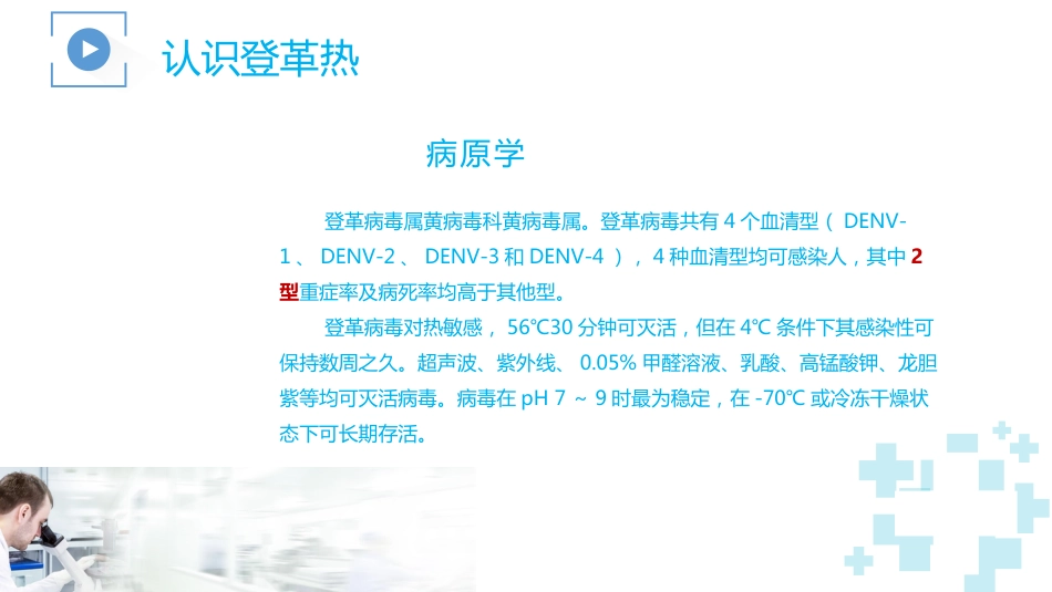 登革热及其防治_第7页