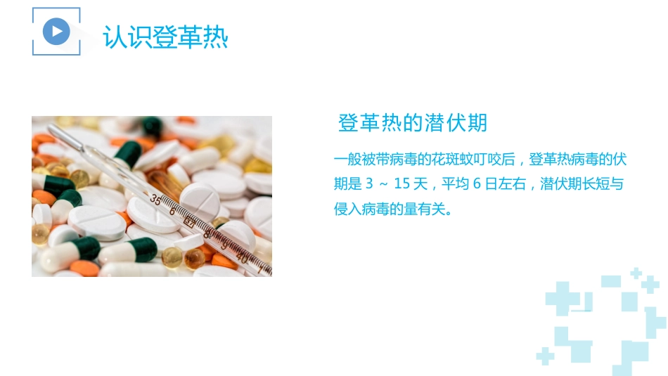 登革热及其防治_第9页