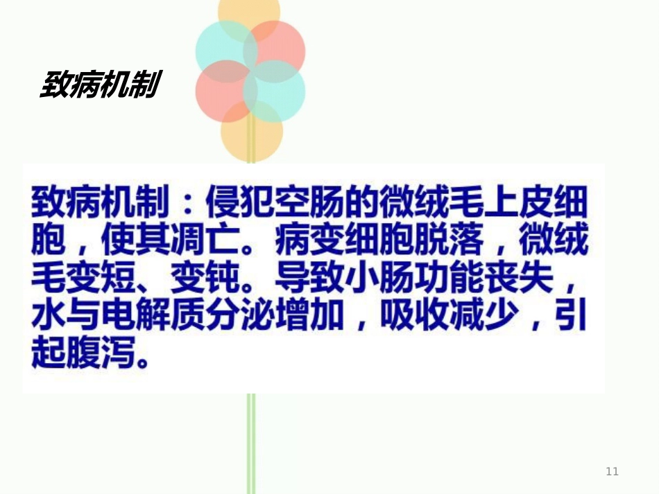 人类轮状病毒_第11页