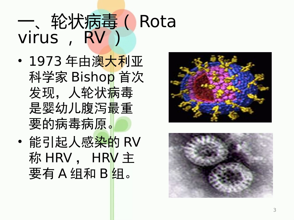 人类轮状病毒_第3页