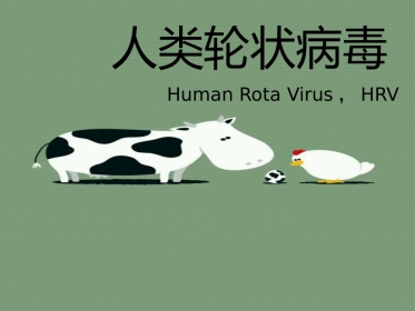 人类轮状病毒