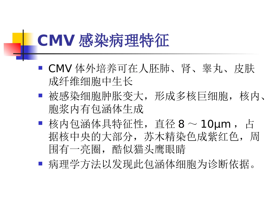 先天巨细胞病毒感染(1)_第5页