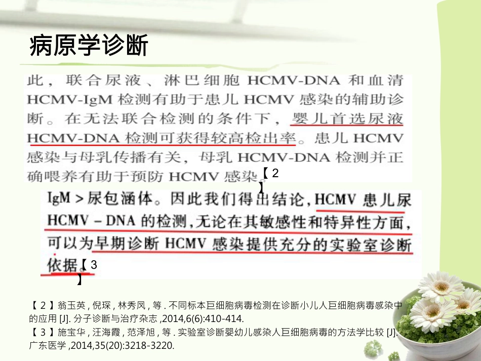 人巨细胞病毒感染(1)_第14页