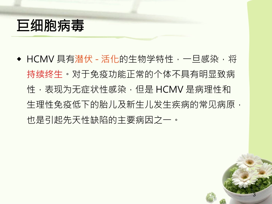 人巨细胞病毒感染(1)_第3页