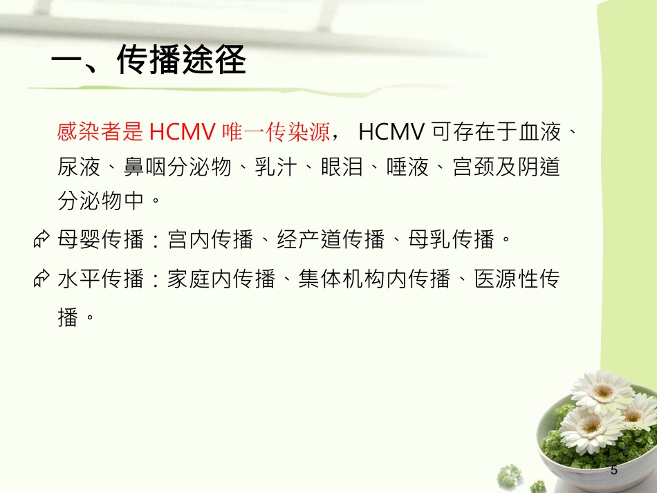 人巨细胞病毒感染(1)_第5页