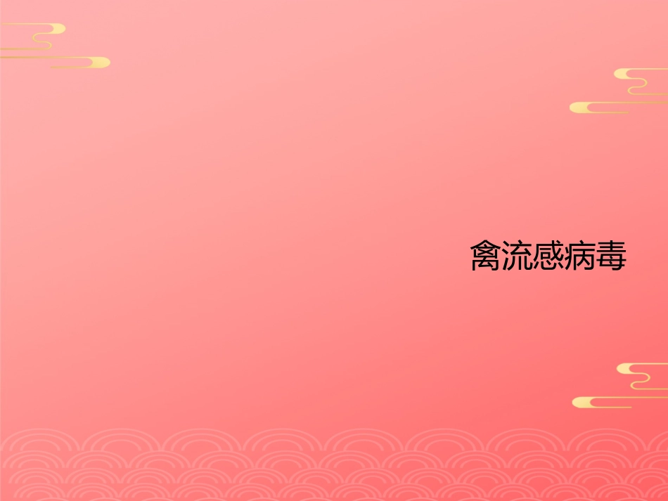 禽流感病毒2021PPT_第1页