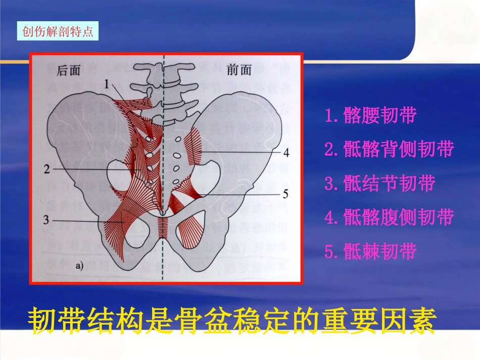 骨盆骨折急诊处理的一般原则_第3页