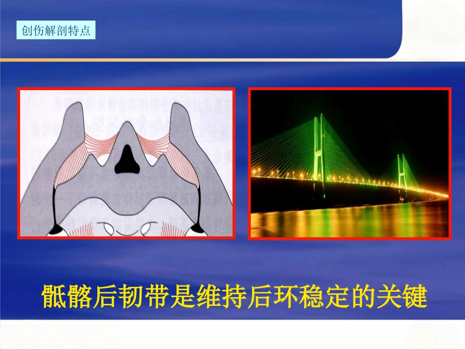 骨盆骨折急诊处理的一般原则_第5页