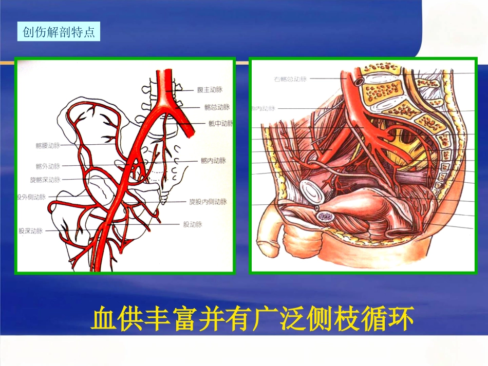 骨盆骨折急诊处理的一般原则_第7页