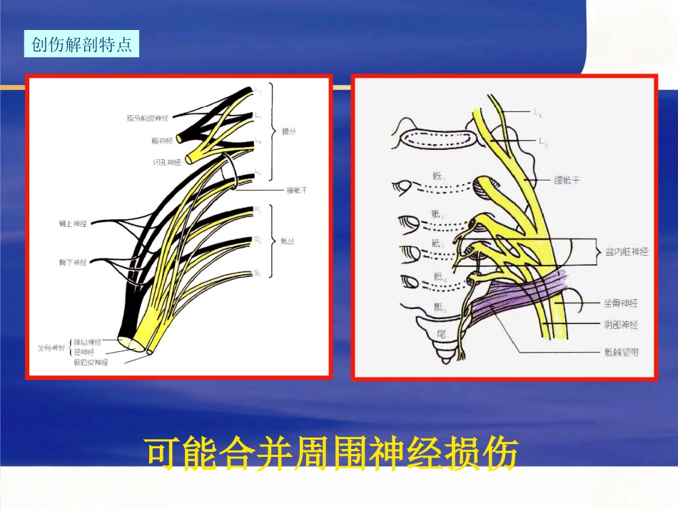 骨盆骨折急诊处理的一般原则_第9页