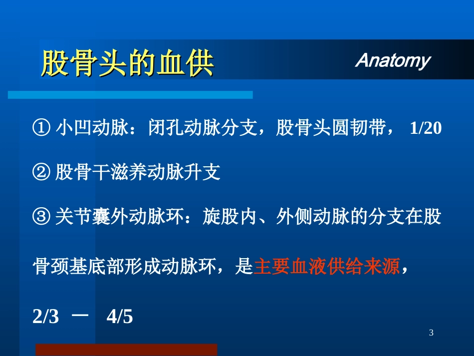股骨颈骨折治疗选择_第3页