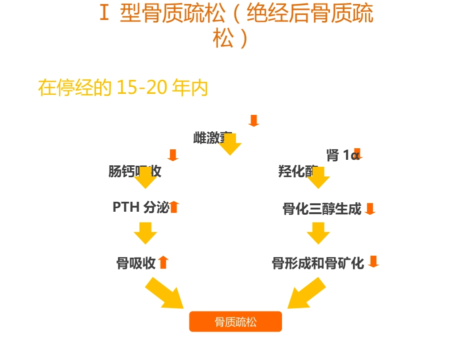 骨质疏松的诊断与治疗_第9页