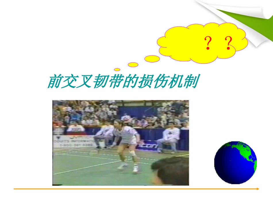 ACL重建篇_第13页