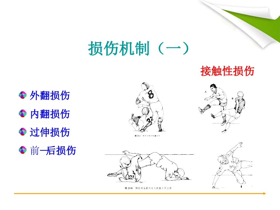 ACL重建篇_第15页