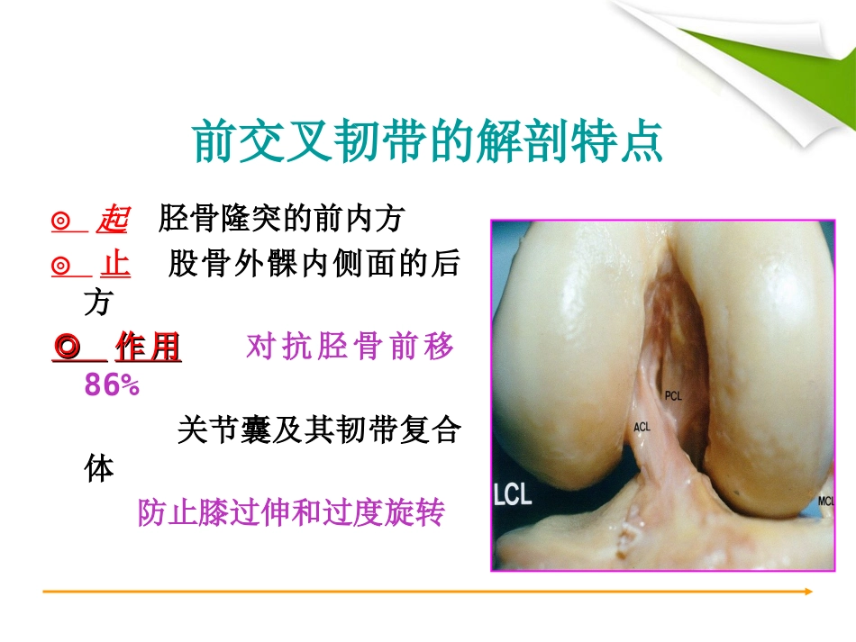ACL重建篇_第4页