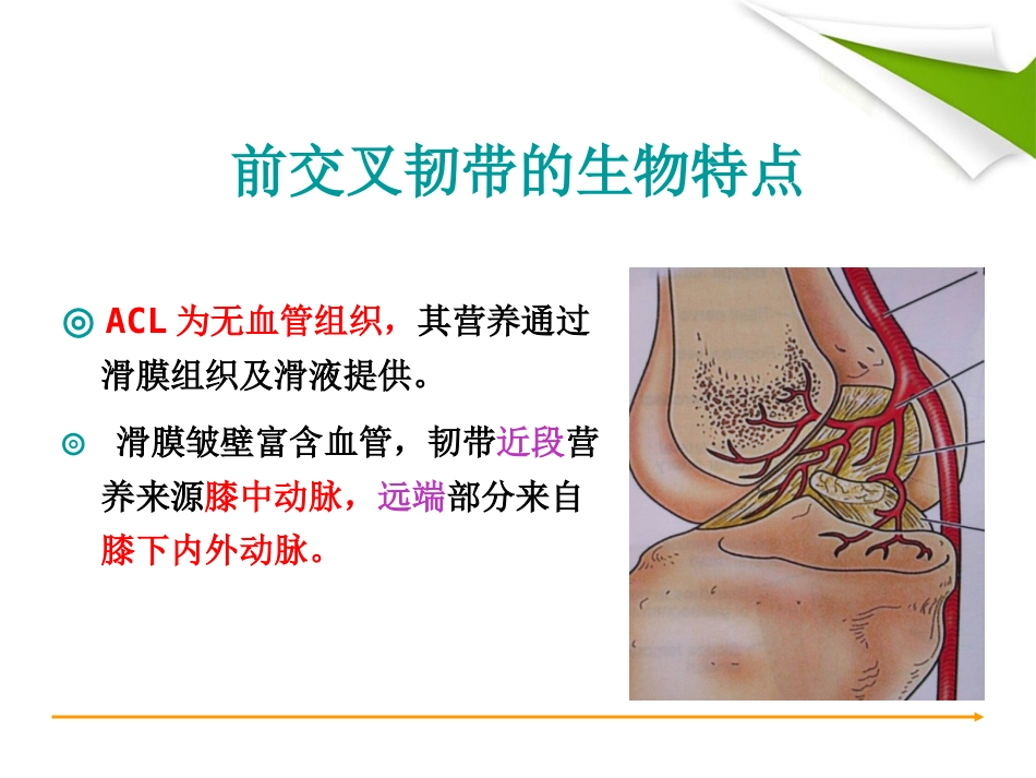 ACL重建篇_第8页