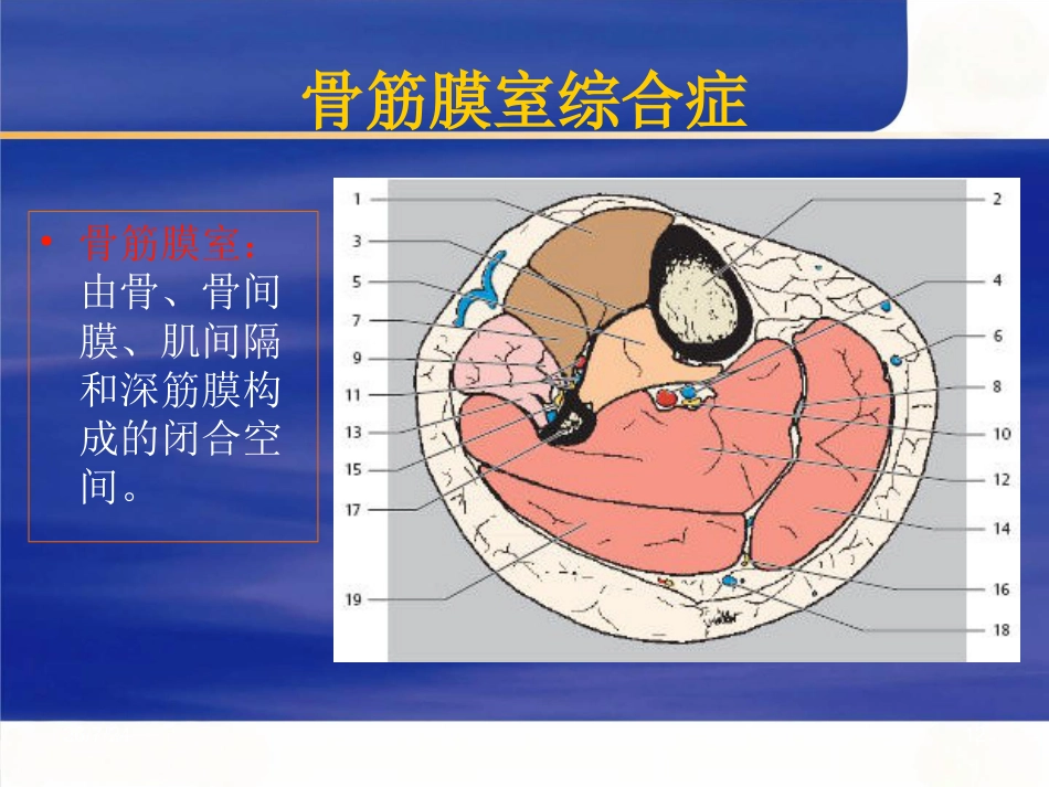 骨科创伤及手术介绍_第12页