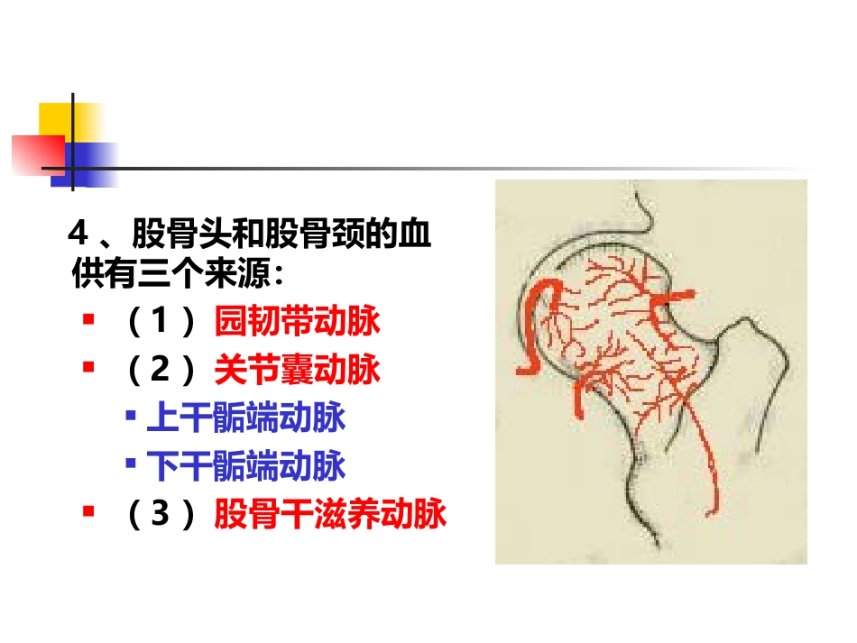 股骨颈骨折概述_第5页