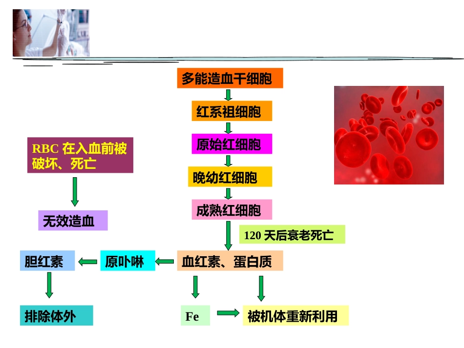 贫血概述_第3页