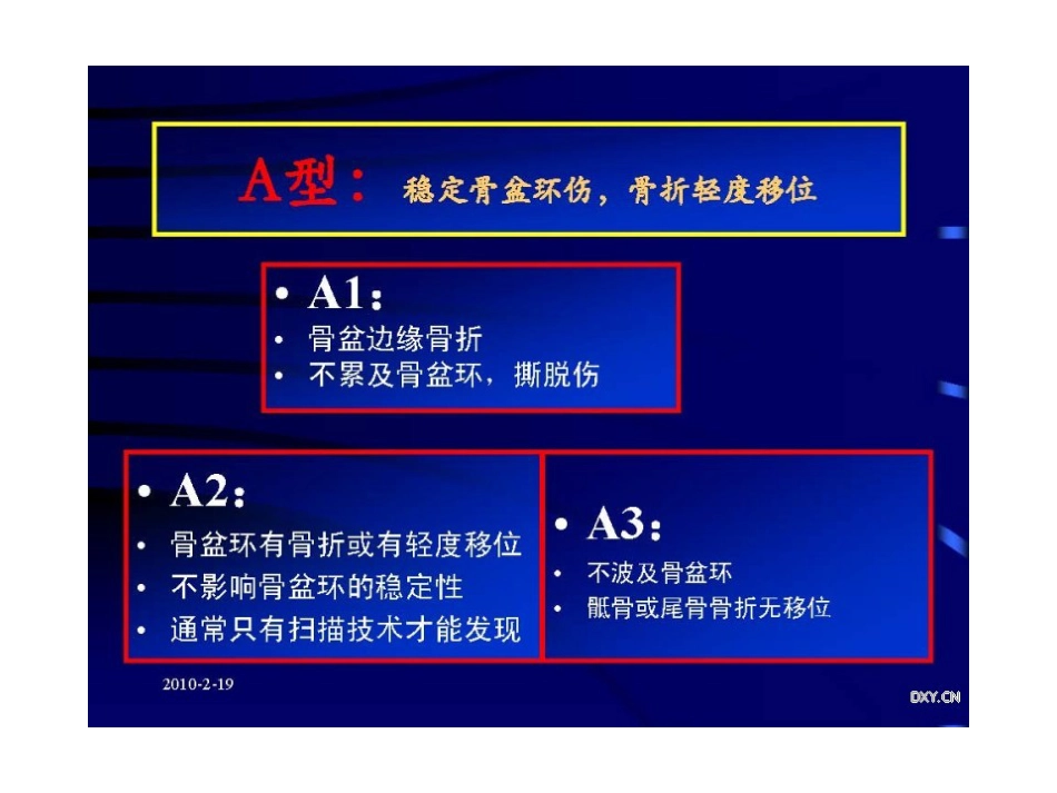 骨盆与髋臼骨折的诊断与分型_第14页