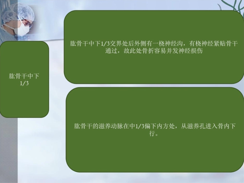 肱骨干骨折PPT课件_第3页