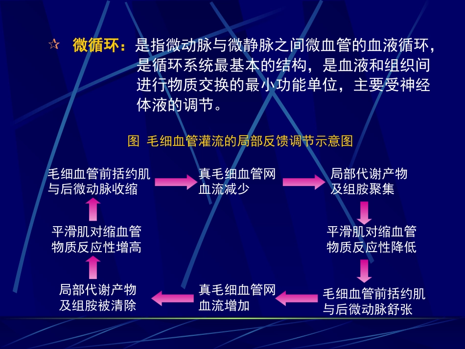 病理学课件休克_第13页